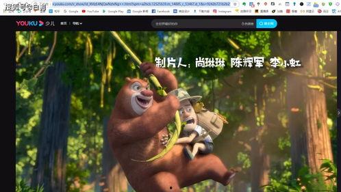 狗熊皮肤爆料视频下载免费,免费下载爆料视频背后的秘密  第3张